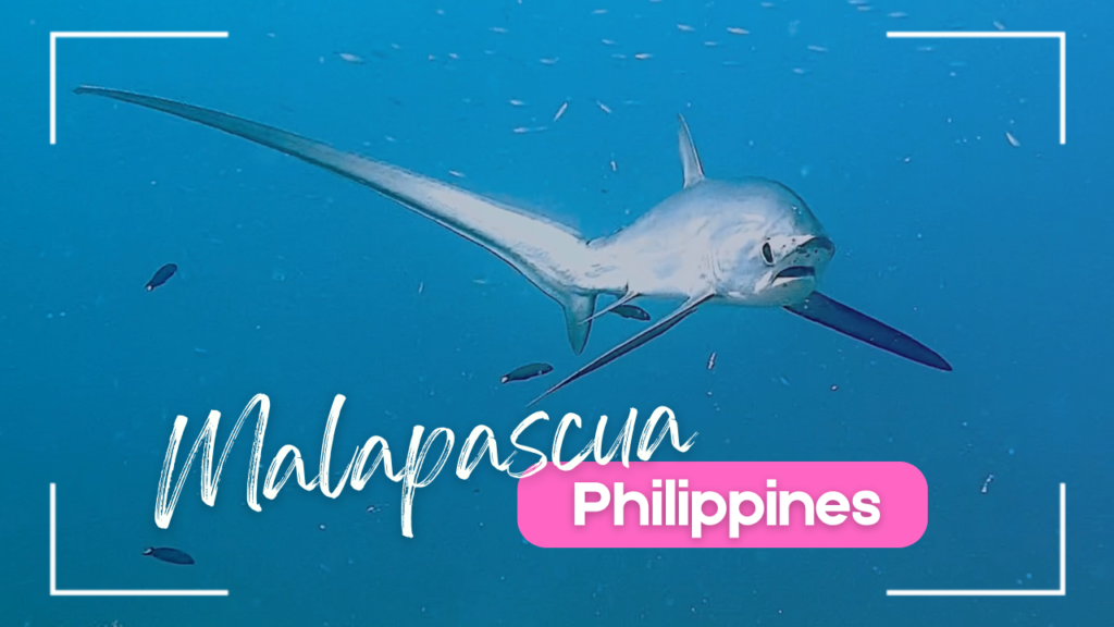 Scuba Dive Malapascua Philippines